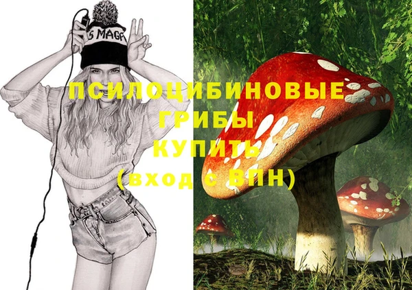 2c-b Богородицк