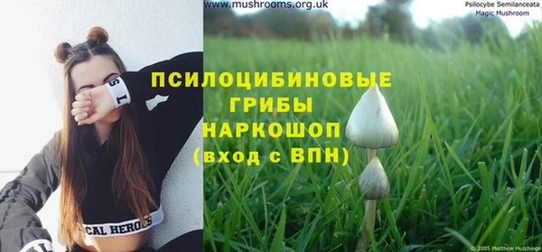 2c-b Богородицк