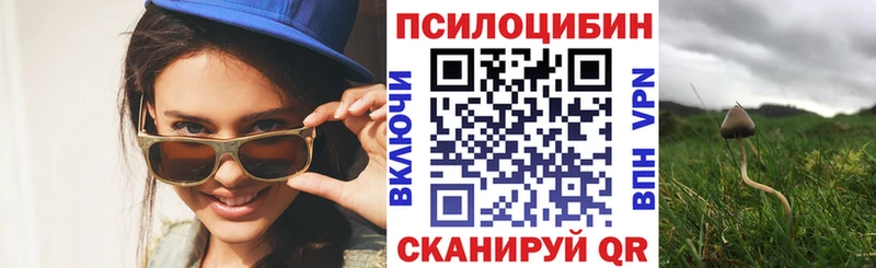 купить закладку Шуя Галлюциногенные грибы MAGIC MUSHROOMS